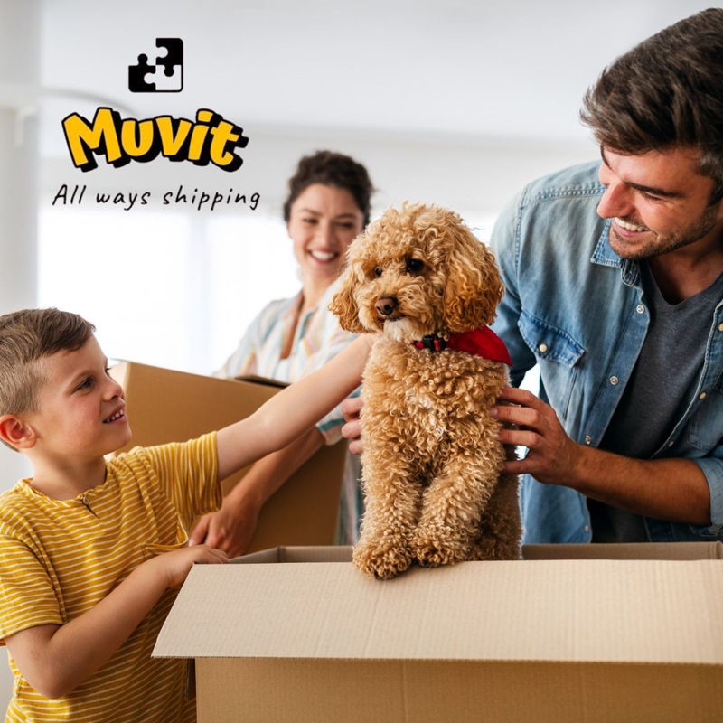 Home Movers Santa Clara
