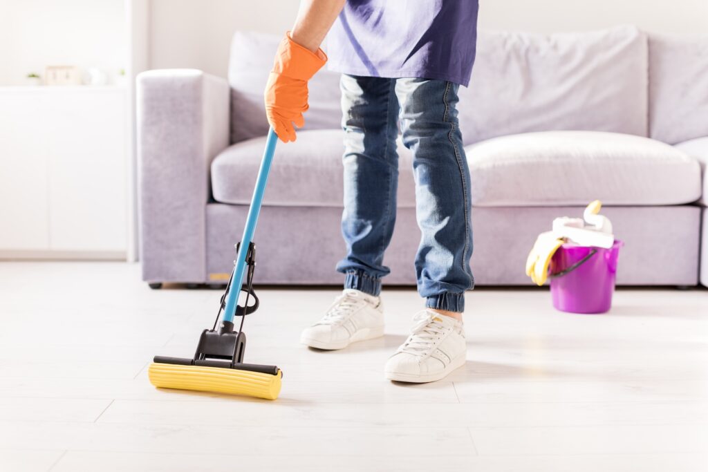 House Cleaning, Bay Area